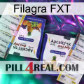 Filagra FXT 12